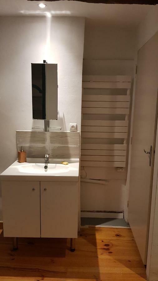 Appartement Avec Cour ★ Spacieux ★ Hyper Centre Castres (Tarn) Exterior photo